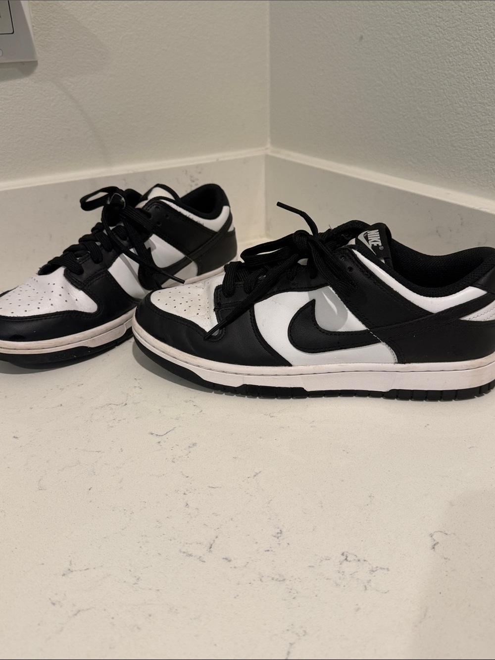 Women’s Dunk Low Nike Sneakers